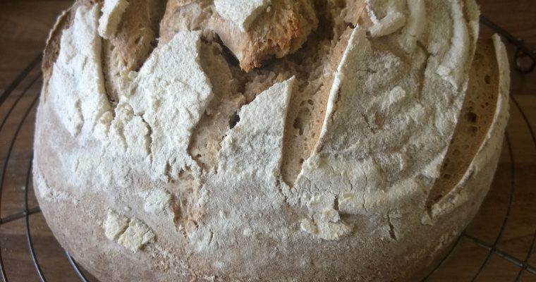 Sourdough Secrets